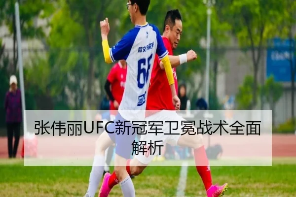 张伟丽UFC新冠军卫冕战术全面解析